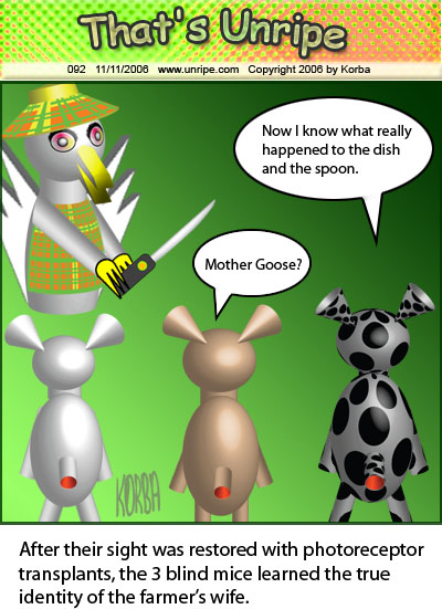cartoon 92, vitreous humor